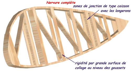 nervure complte